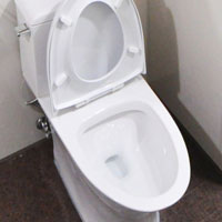 Lavatory (toilet) Application